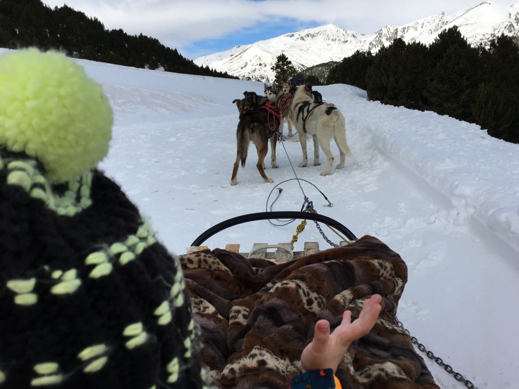 Vista de los perros tirando del trineo desde la perspectiva de Eric. Andorra.