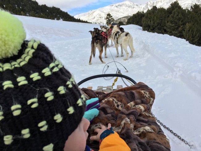 Foto de los perros desde la perspectiva de Eric. Trineo tirado por perros, mushing en Grandvalira, Andorra.